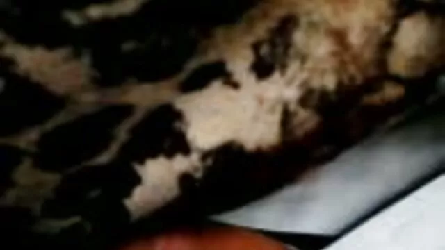 XXX χωρίς εγγραφή  Ο Αράπης είναι δωρεαν πορνο τσατ ελληνικο χάλια.