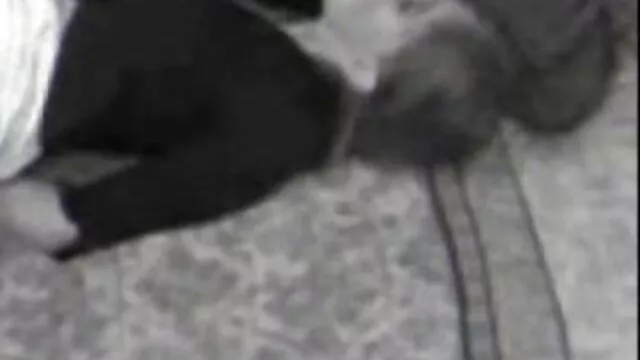 XXX χωρίς εγγραφή  Μέλη του μεγάλου στον κόλπο δωρεαν ταινιεσ πορνο για να περιορίσετε.